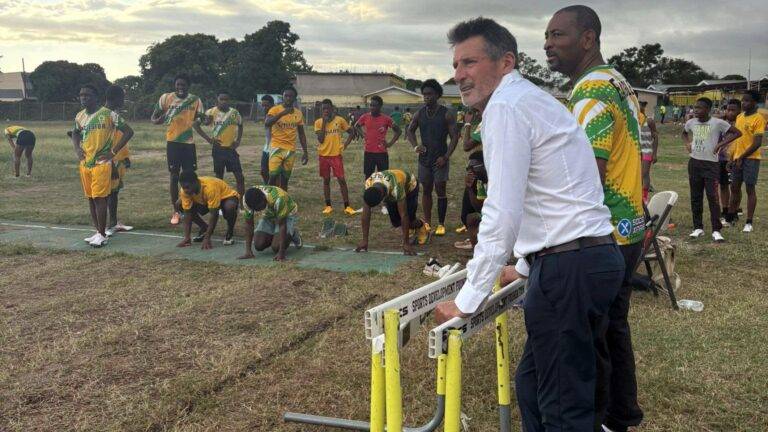 මෙලීසා කළ හානිය පියවන්න කෝ ගේ සහය