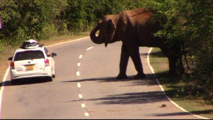 IMG_20260102_090724-800x453