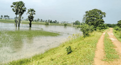 Opera Snapshot_2026-01-16_112810_www.google.com