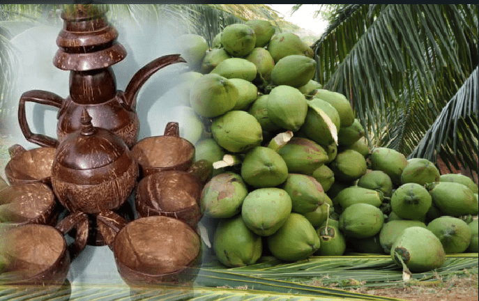 Screenshot_20260103-080010