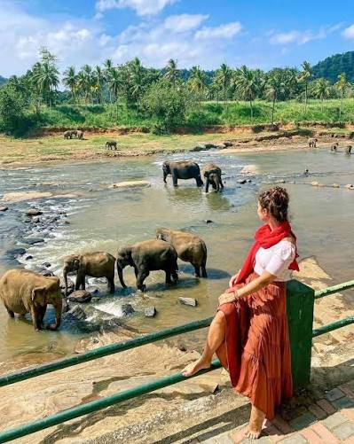 පින්නවලදී විදේශිකයින්ට ලැබුණු නවතම අත්දැකීම..