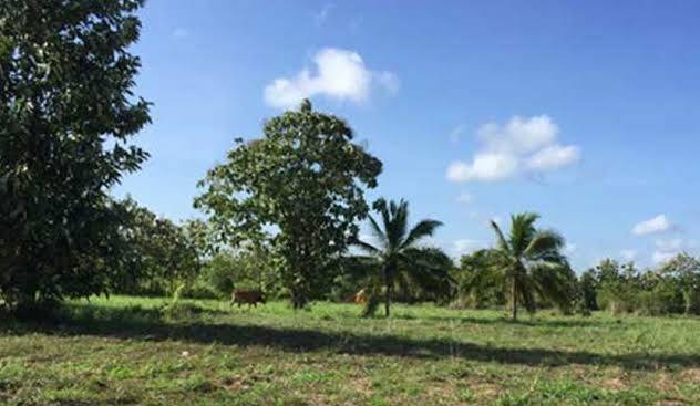 නාගරික සංවර්ධන අධිකාරියට අයත් ඉඩමක් ගැන නව ආයෝජන බලාපොරොත්තුවක්!