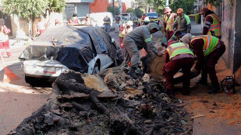 මෙක්සිකෝවේ දකුණු සහ මධ්‍යම ප්‍රදේශයන්ට ප්‍රභල භුමිකම්පනයක්!