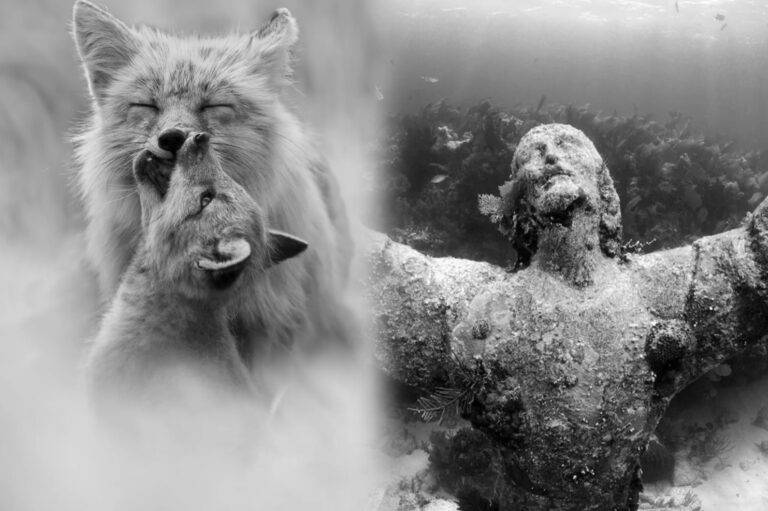 ලෝකයේ ඇති නානාප්‍රකාර වර්ණයන් පසෙකලා පැවැති කළු-සුදු ඡායාරූපකරණය!