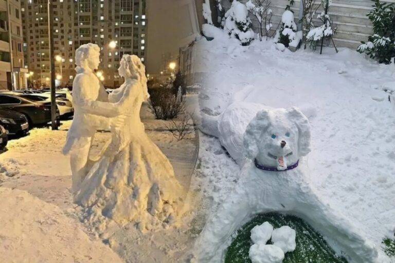 කැරට්-නාස් කාරයොන්ට සීමා නොවුණු ශීත කලාව!