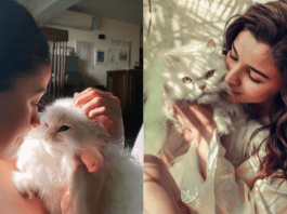 ජීවිතය දෙස බළල් සුරතලුන්ගේ ඇසින්: Alia Bhatt අපට කියාදෙන පාඩම්…