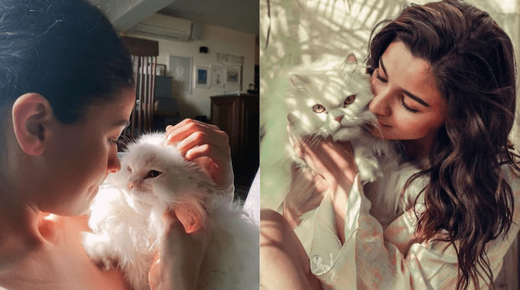 ජීවිතය දෙස බළල් සුරතලුන්ගේ ඇසින්: Alia Bhatt අපට කියාදෙන පාඩම්…