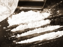 මල් ශාලාවකින් මතු වූ මත්කුඩු!