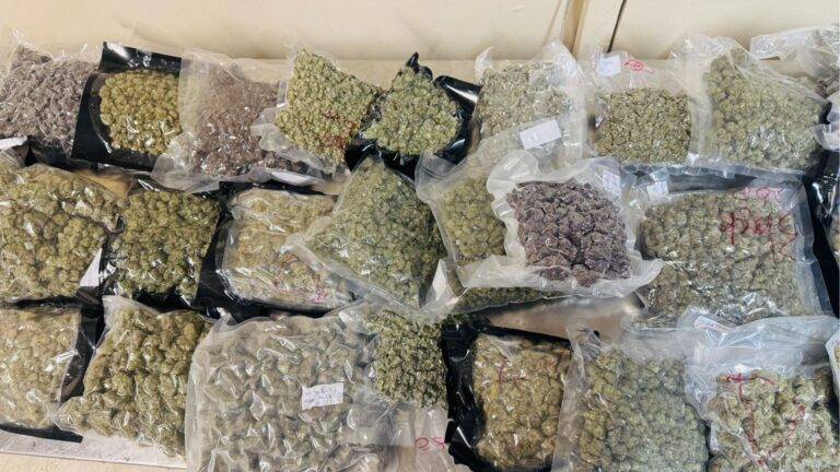 කටුනායක ගුවන් තොටුපොළේදී දැවැන්ත මත්ද්‍රව්‍ය වැටලීමක්!