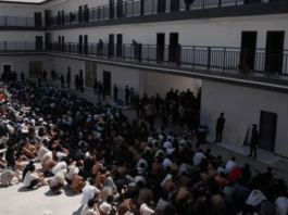 මූල්ය වංචා සහ සූදු ජාවාරම් මෙහෙයවූ පුද්ගලයින් සිව්දෙනෙකුට චීනය විසින් මරණ දඬුවම ක්රියාත්මක කරයි!