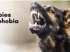 ජලභීතිකාවෙන් තොර ශ්රී ලංකාවක්: 2030 දැක්ම සහ අප නොදන්නා භයානක සත්යය