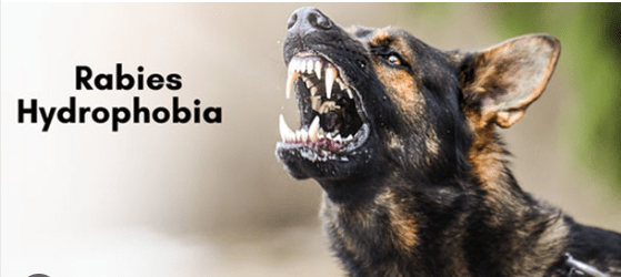 Opera Snapshot_2026-02-19_111035_www.google.com