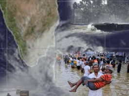 දිට්වා සුළි කුණාටු සහන: සංඛ්යාලේඛනවලින් වැසුණු ජීවනෝපාය අර්බුදය!