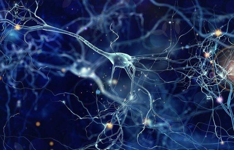 මේ දැනුත් නුඹ රැවටුණා වෙන්නටත් පුළුවන !