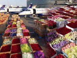 ආදරවන්තයින්ගේ දවසේ ඔබට ලැබුණ මලක් වෙනුවෙන් LATAM කරපු යෝධ මෙහෙයුම!