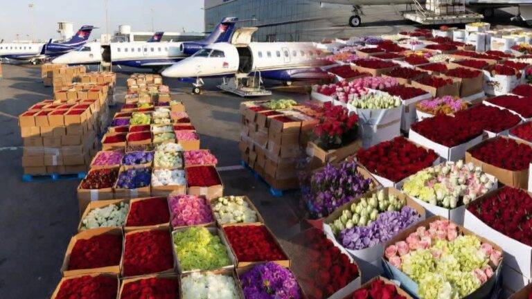 ආදරවන්තයින්ගේ දවසේ ඔබට ලැබුණ මලක් වෙනුවෙන් LATAM කරපු යෝධ මෙහෙයුම!