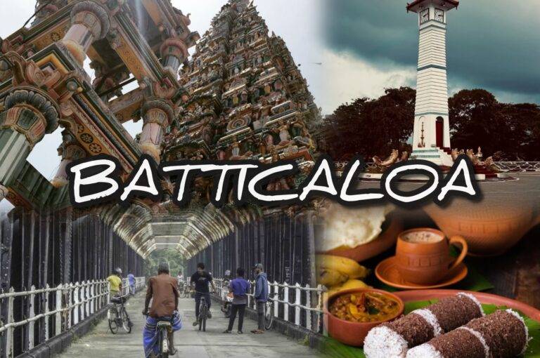 Wanderlust Wednesday: සිංදු කියන මාලුවන්ගේ කසුකුසුව සොයා යන මඩකලපු සවාරිය! Discovering the Cultural Tapestry of Batticaloa Heritage District, Sri Lanka 🇱🇰