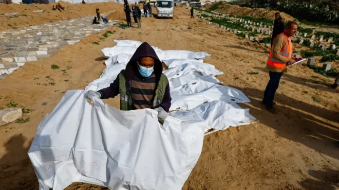 reuters_699159d1-1771133393