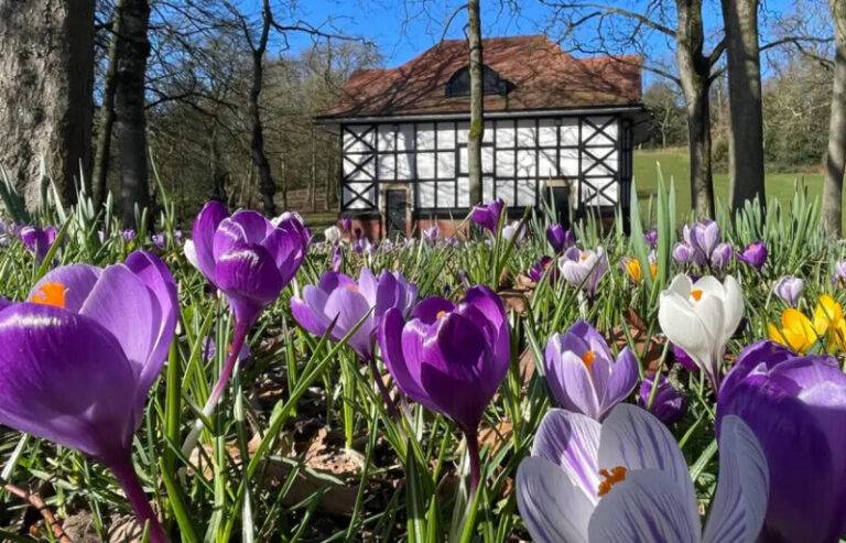 ලන්ඩනයේ සිට මුදා හැරෙන ශ්‍රී ලාංකේය කවි සරණිය