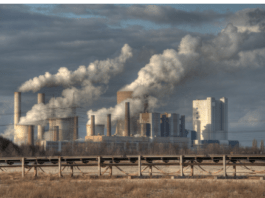 මේ එන පීඩනය අපේ කර්මාන්තකරුවන්ට සහ පාරිභෝගිකයින්ට දරාගන්න අමාරුයි – ඛනිජ තෙල් නීතිගත සංස්ථාවේ හිටපු සභාපති