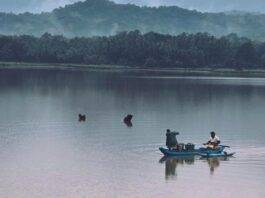 සාදය අවසන් …. !