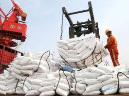 චීනය පොහොර අපනයනය සීමා කරයි