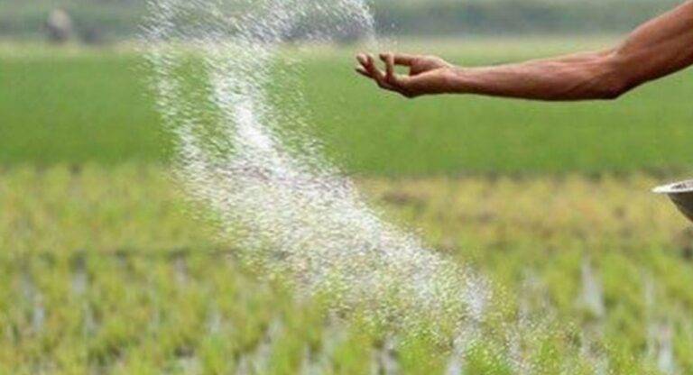 පොහොර හිඟයකුත් එයි. යූරියා නිකුත් කිරීම වී ගොවිතැනට සීමා කරයි