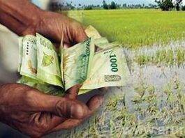 ආපදා තත්ත්වය හේතුවෙන් වගාවන්ට හානි වූ ගොවියන් 441කට වන්දි