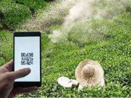 නව QR-පාදක පද්ධතිය හරහා සහනාධාර තේ පොහොර බෙදා හැරීමේ සැලකිය යුතු ප්රගතියක්!