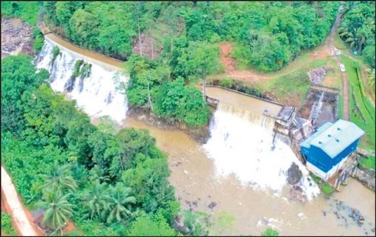 විදුල්ලංකා සමාගම භෝරුක පවර් ලංකා ආයතනය අත්පත් කරගනී