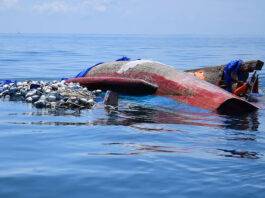 අන්දමන් මුහුදේ රෝහින්ග්යා සරණාගතයින් රැගත් බෝට්ටුවක් පෙරළීමෙන් 250 ක් පමණ අතුරුදන්